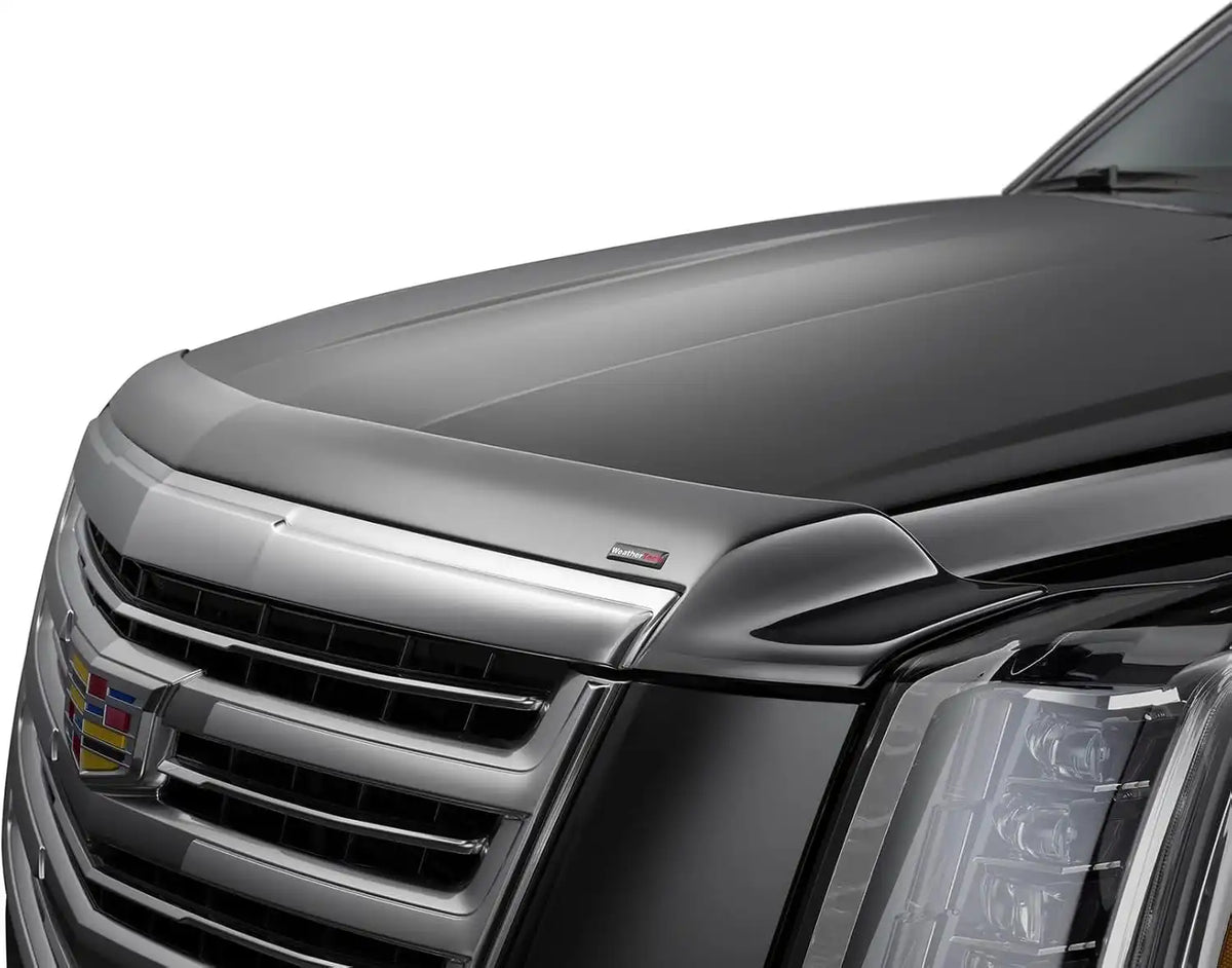 WeatherTech Hood Protector Low-Profile Hood Shield for Honda Pilot (55256)