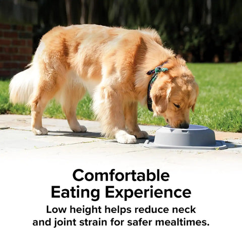 WeatherTech Single Low Pet Feeding System w/Plastic Dog/Cat Bowls - 96 oz (12 Cups) Light Grey (PSL9603LG)