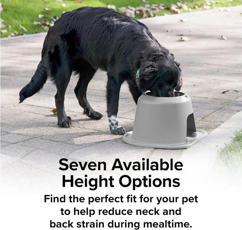 WeatherTech Single High Pet Feeding System w/Plastic Dog/Cat Bowls - 8" High Stand Dark Grey (PSH3208DGDG)