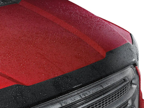 WeatherTech Hood Protector Low-Profile Hood Shield for Honda Pilot (55256)